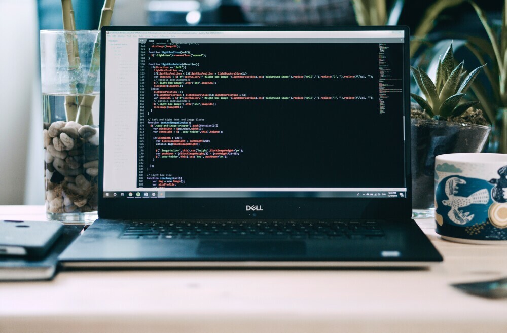 Dell programmer laptop