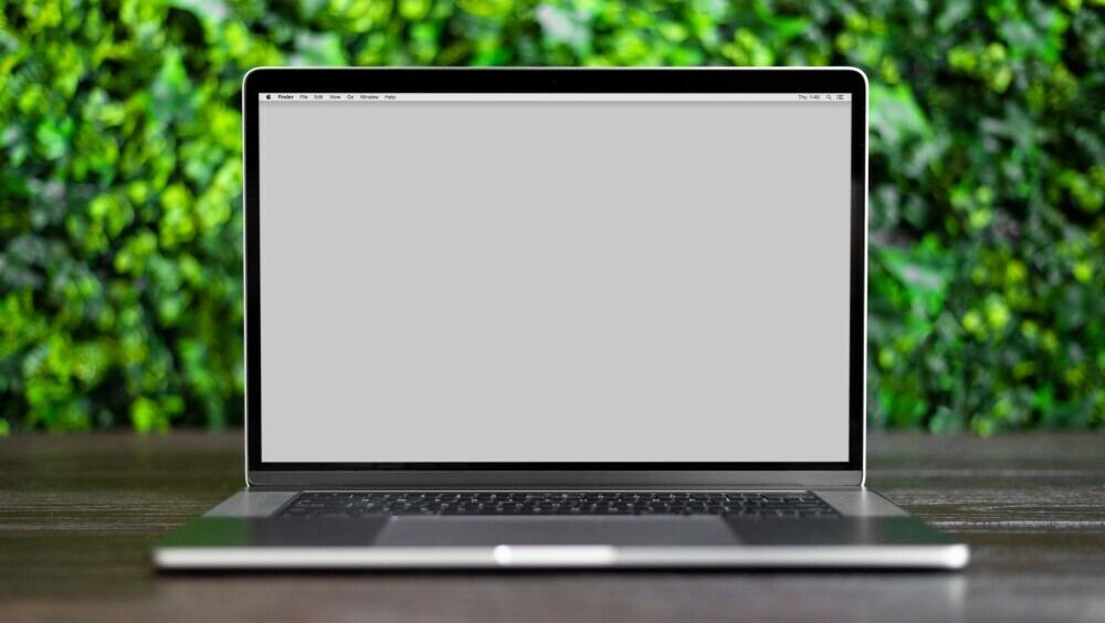 Laptop at the hedge