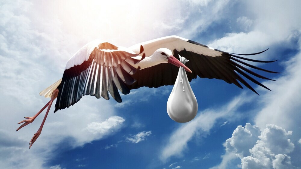 Stork bringing baby